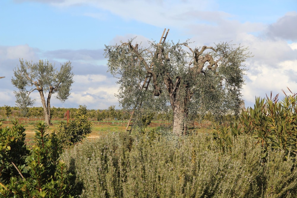 Agrumare Farm Holiday