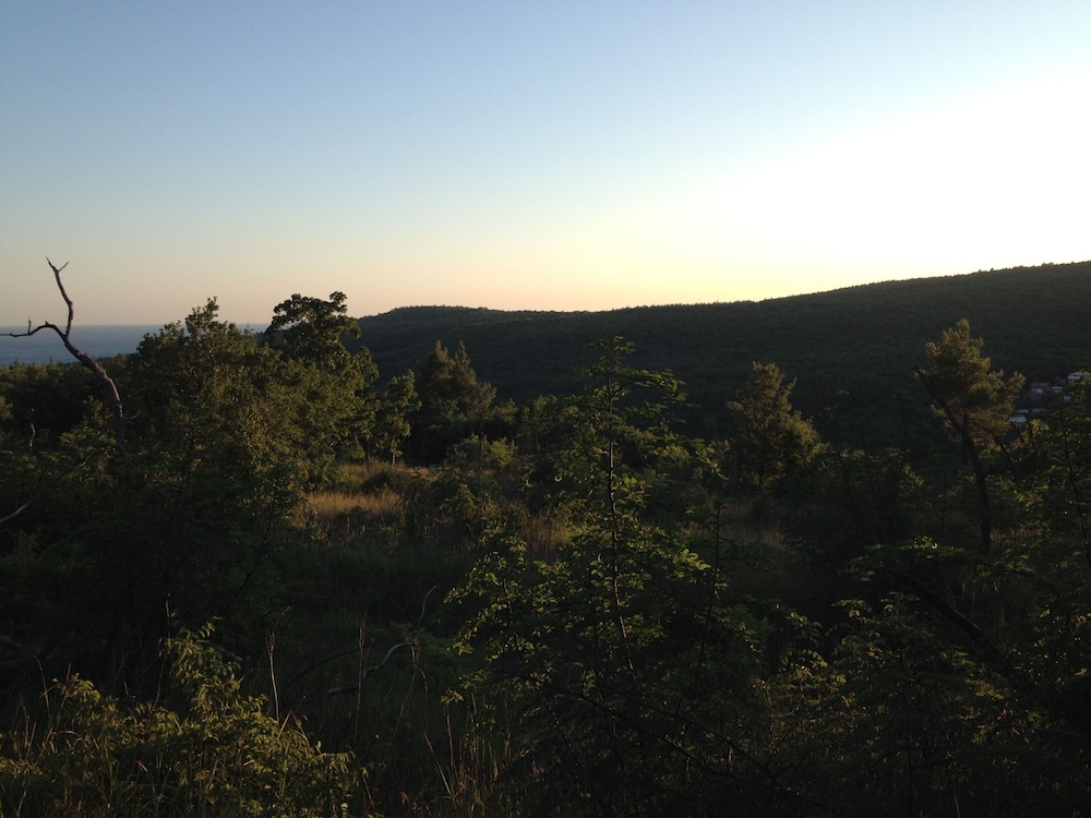 Photo 29