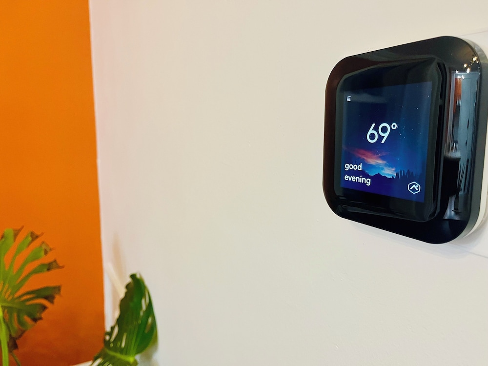 Jungle Gem Master house - Image 3