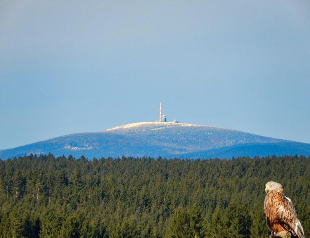 Doppelhaushaelfte in Hasselfelde