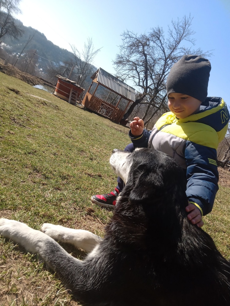 Photo 48