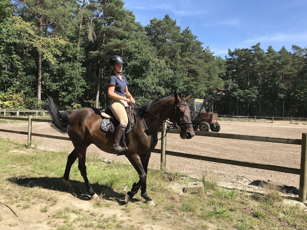 t Welthof