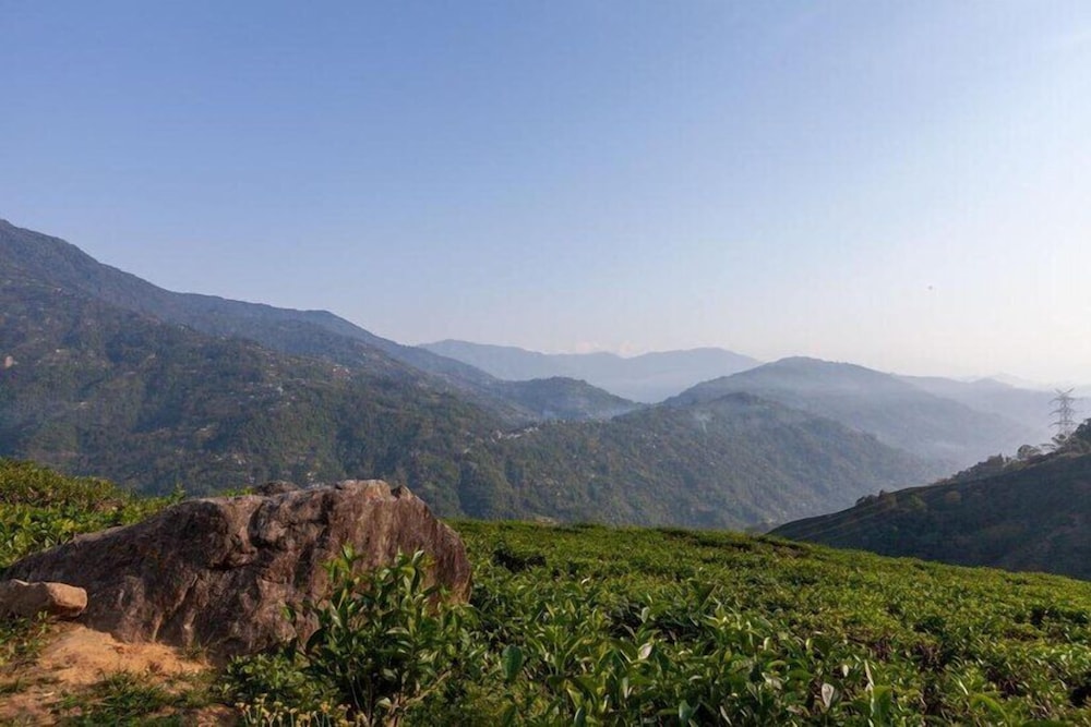 YuleTea Retreat A Premium Heritage Hotel