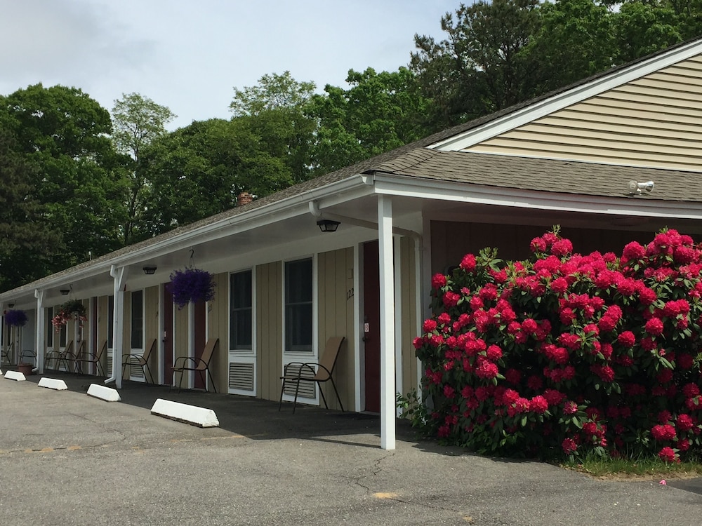Viking Shores Motor Inn