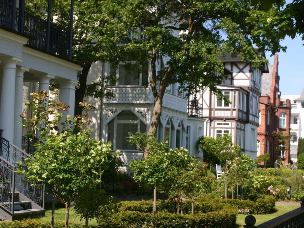 Binz: Sterntaucher in Haus Strelasund