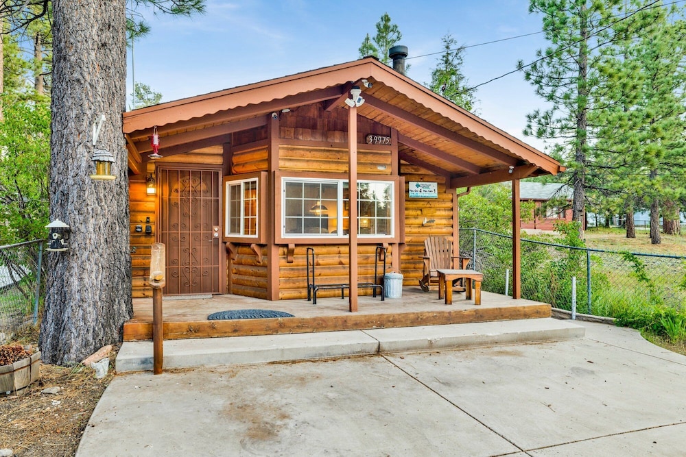 Orchard Family Cabin #2560