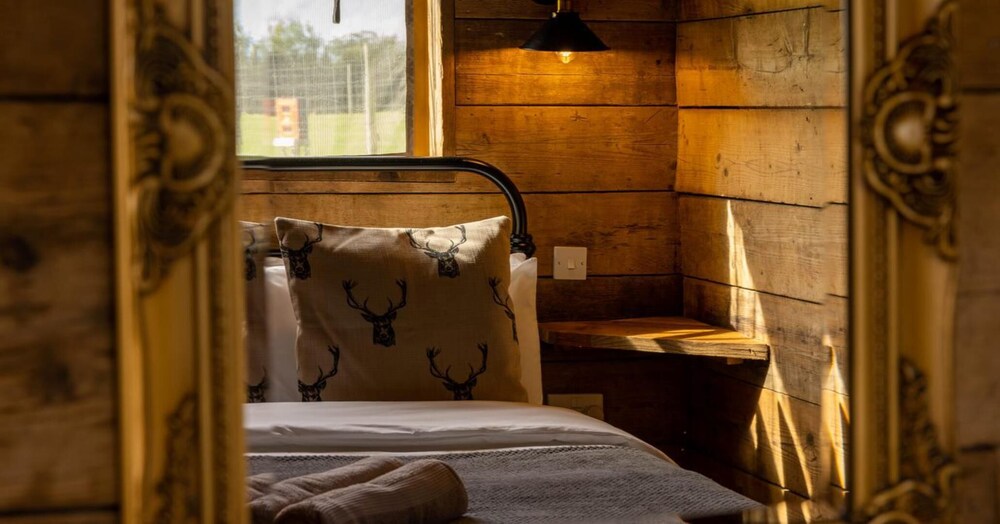 Luxury Safari Lodge Surrounded by Deer!! 'roe' view 2
