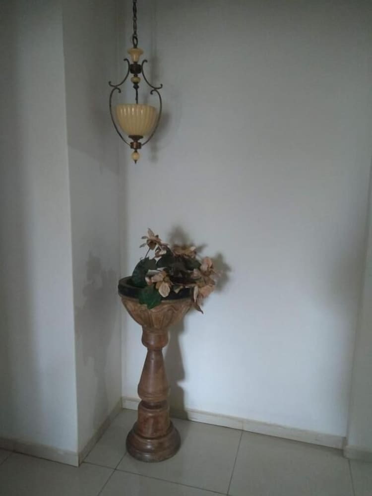 Photo 50