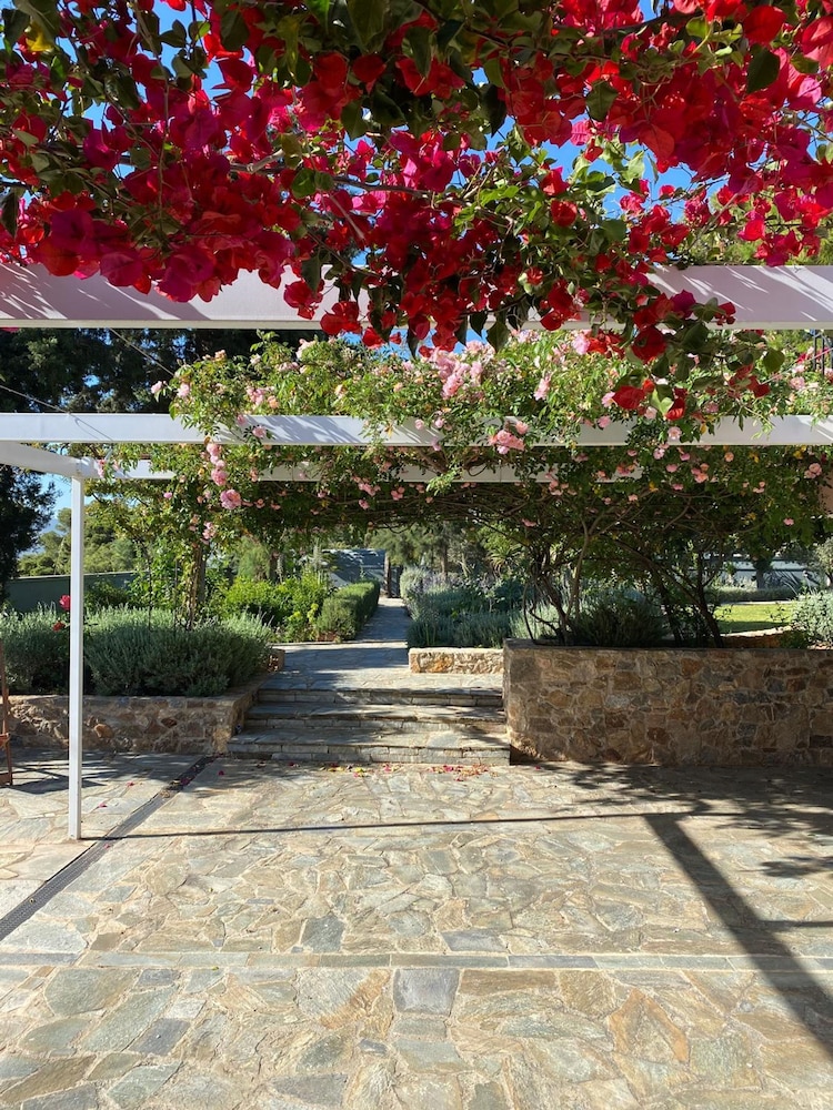 Villa-agave by the sea in Porto-rafti Outside ATH