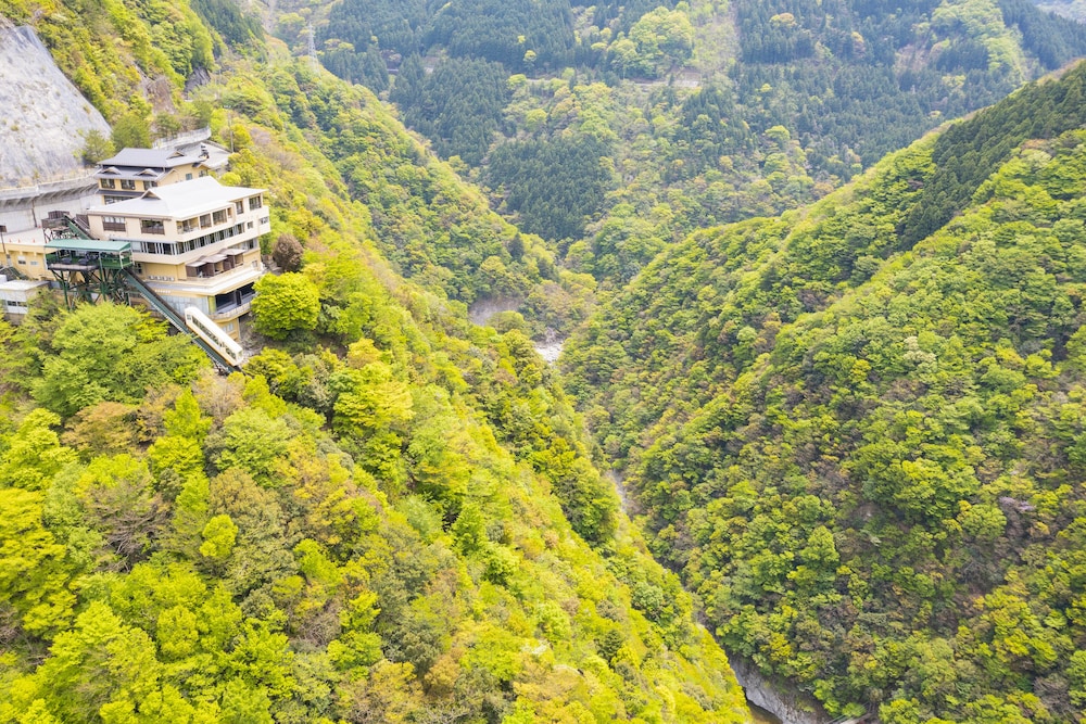 Hotel Iyaonsen