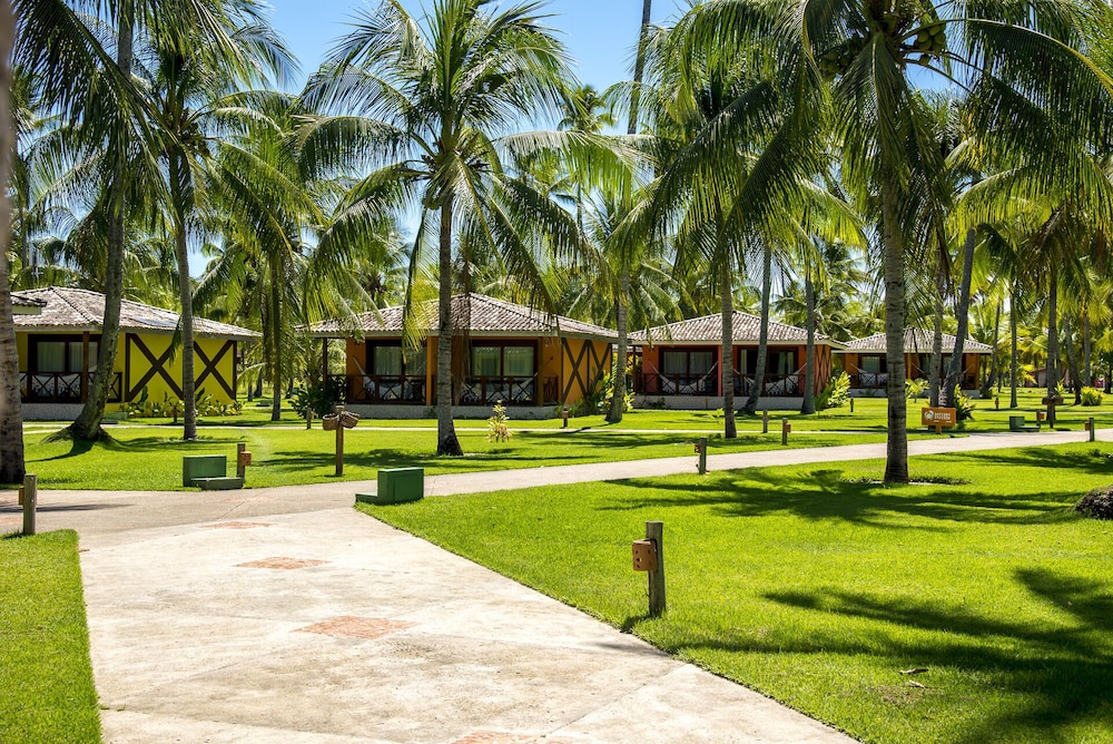 Patachocas