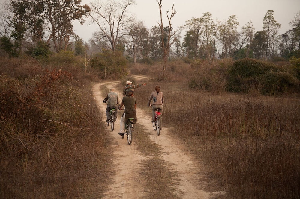 Jim's Jungle Retreat