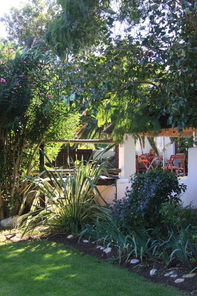 Photo 44