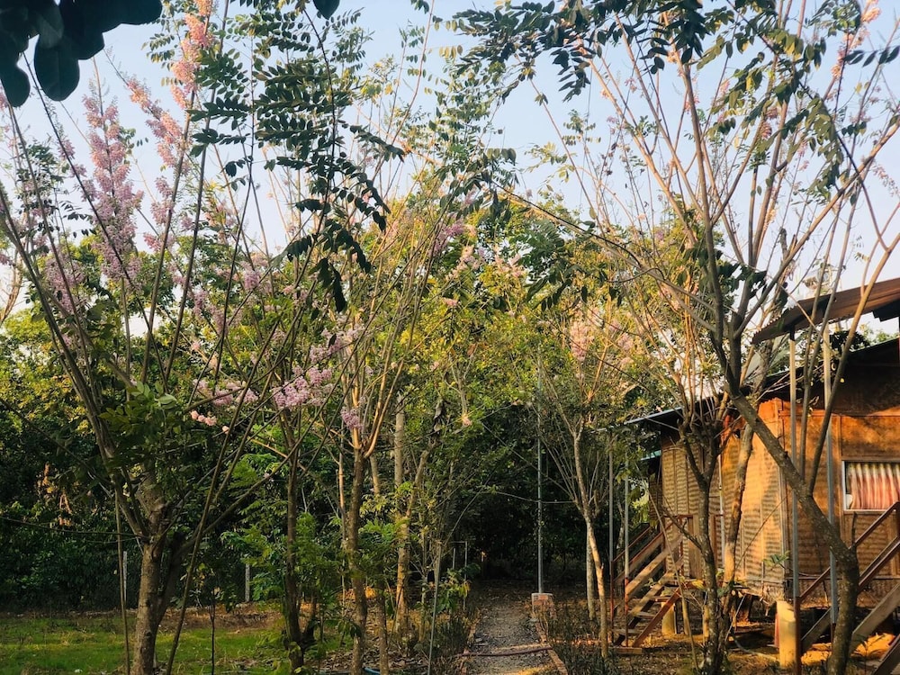 Spirit Garden Guesthouse