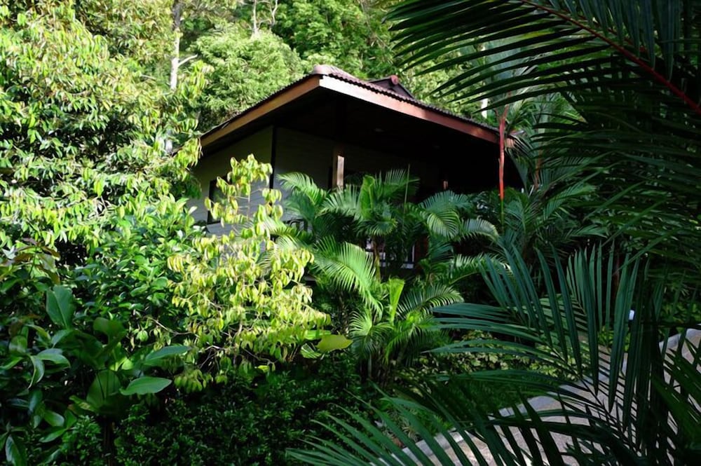 KiriRaya