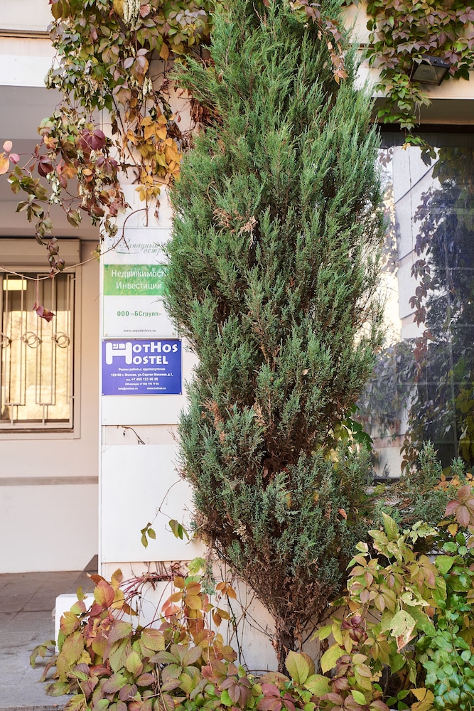 HotHos Hostel