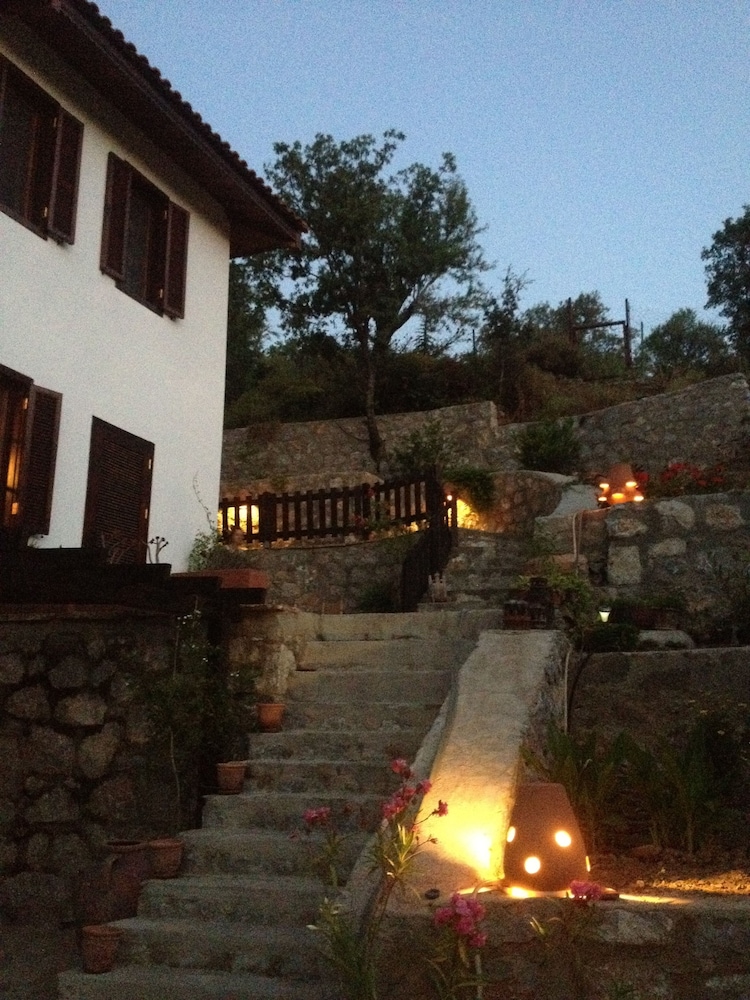 Selimiye Houses