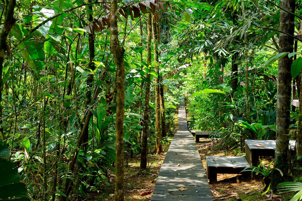 Yatama Ecolodge Sarapiqui