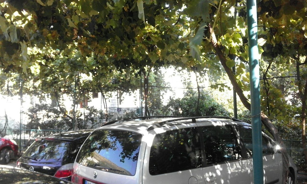 Apartments Jovana