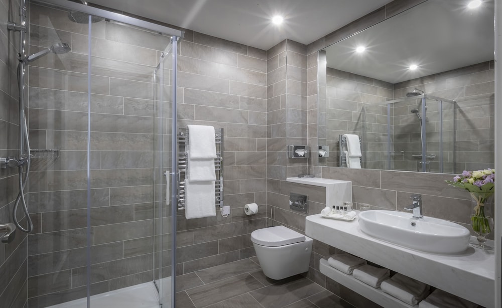 Limerick Vacations - Castletroy Park Hotel Suites - Property Image 5