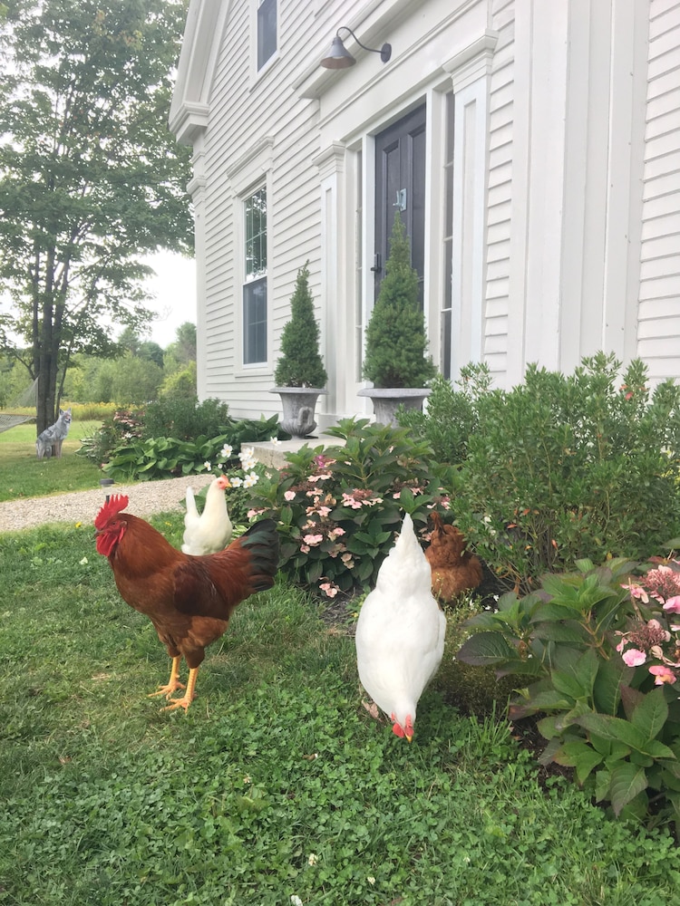 The Orchard House: Inn, Ice Cream, Cafe