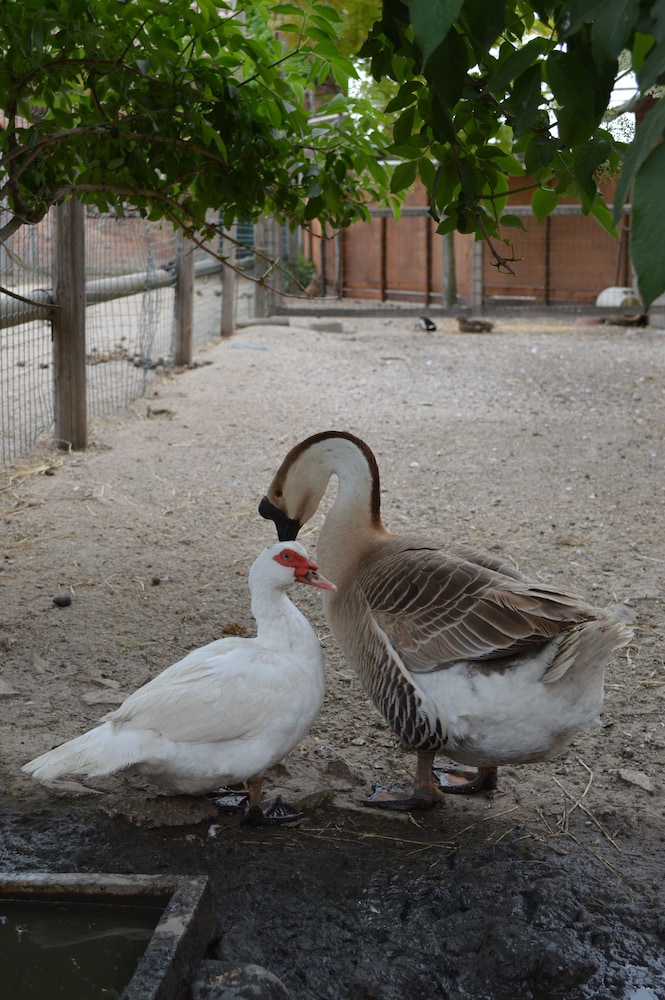 Photo 49