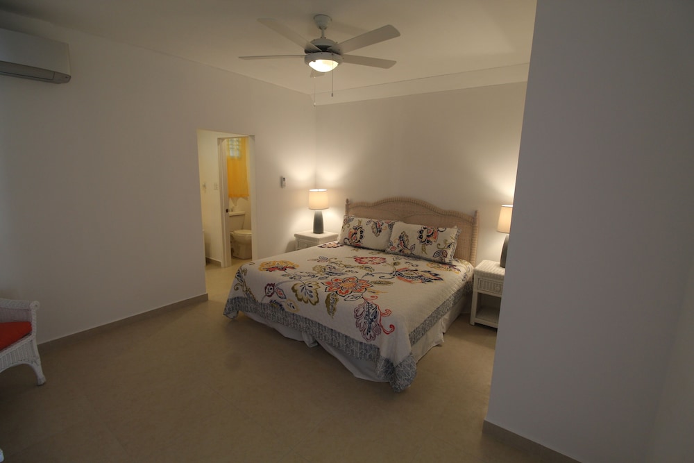 The Horny Toad Guesthouse
