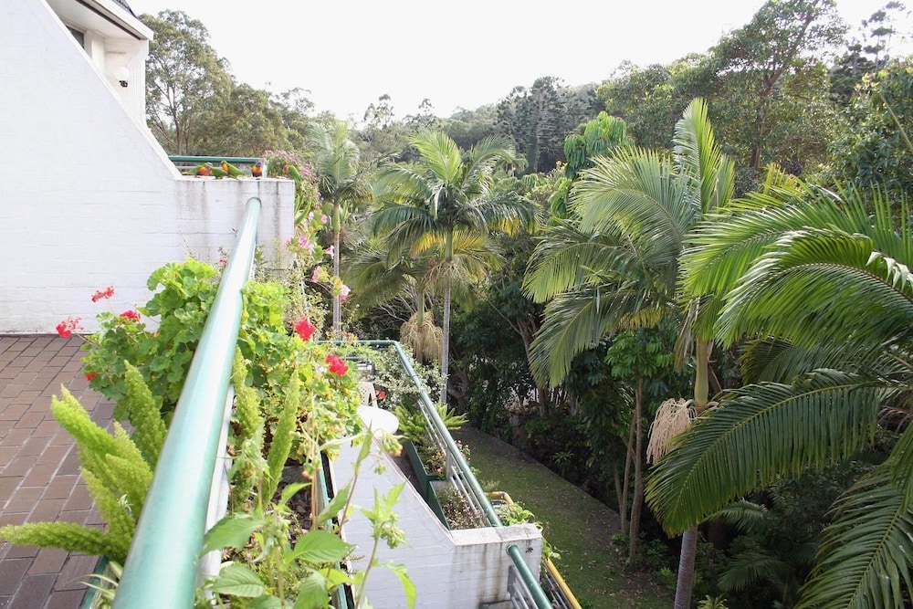 Palm Court Noosa