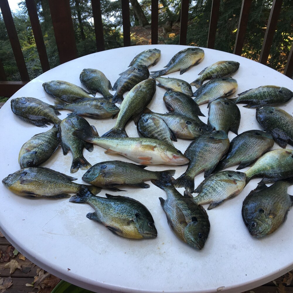 Dixon Lake Resort
