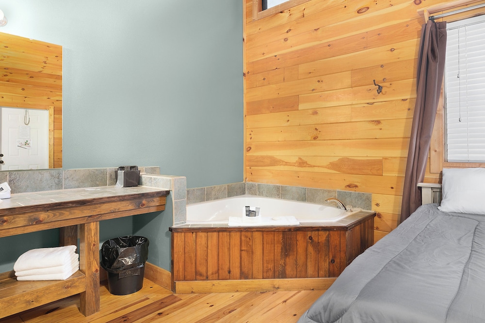Lodge at Tellico view 3