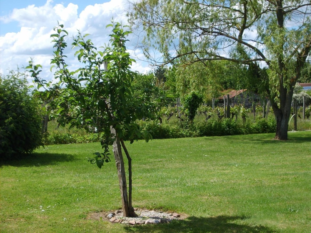 Le Châlet des Vignes