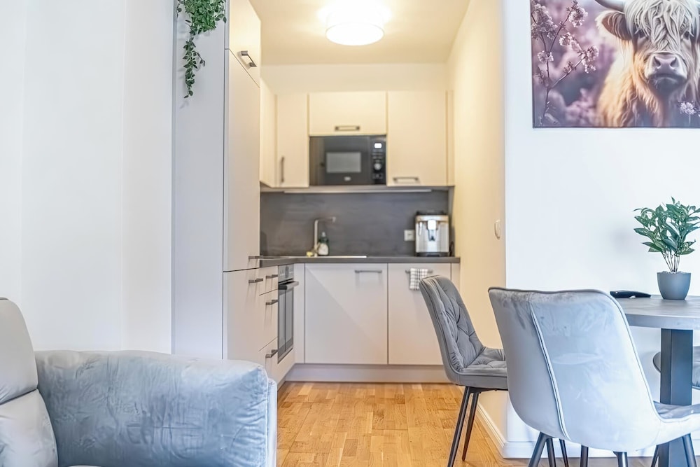 9 Min to City Center 1BR 1LR Balcony