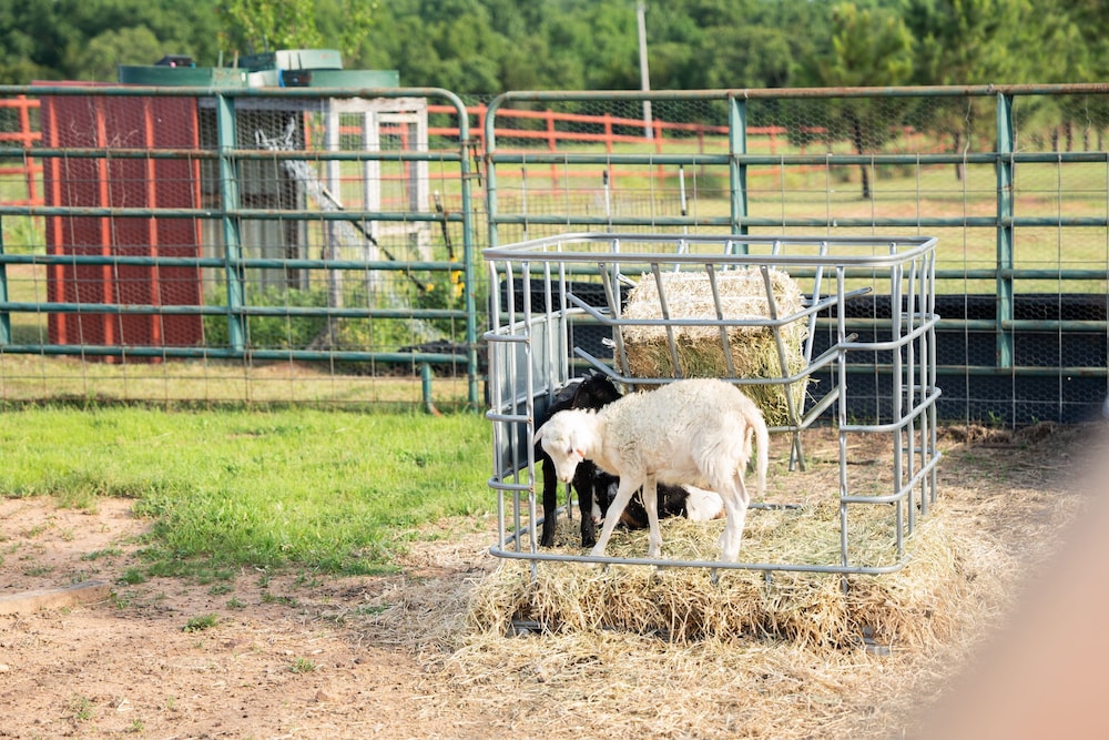 other