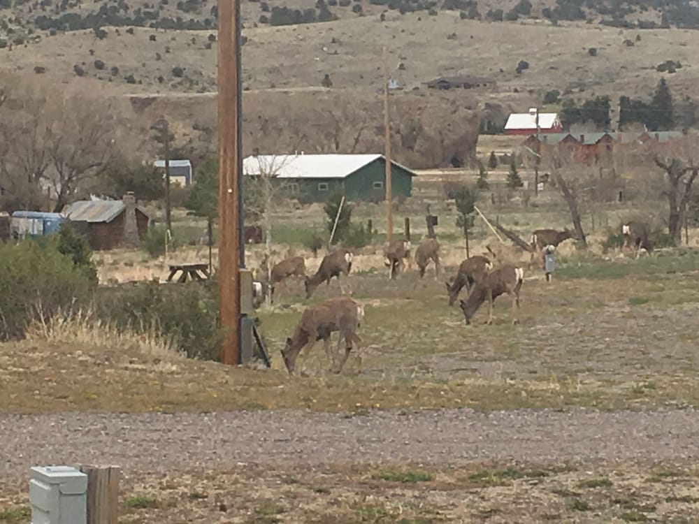 South Fork Lodge & RV Park