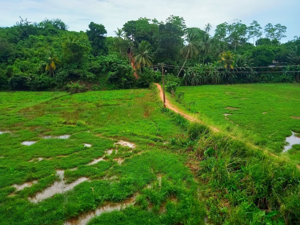Green View Guest view 3