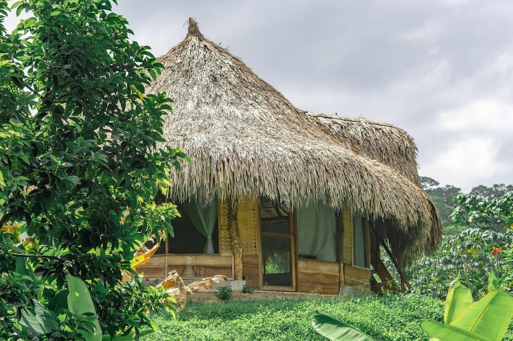 Magic Greeen Tayrona
