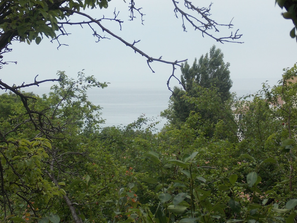Villa Sequoia