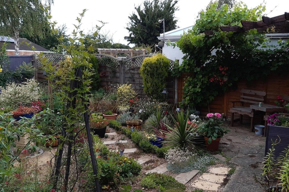 Photo 13