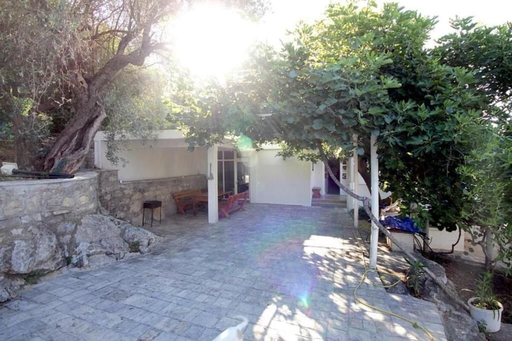 Photo 21