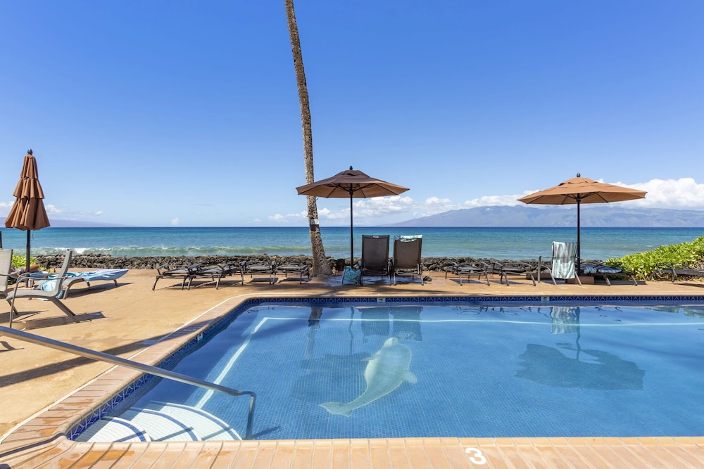 Hale Kai #207 - Image 4