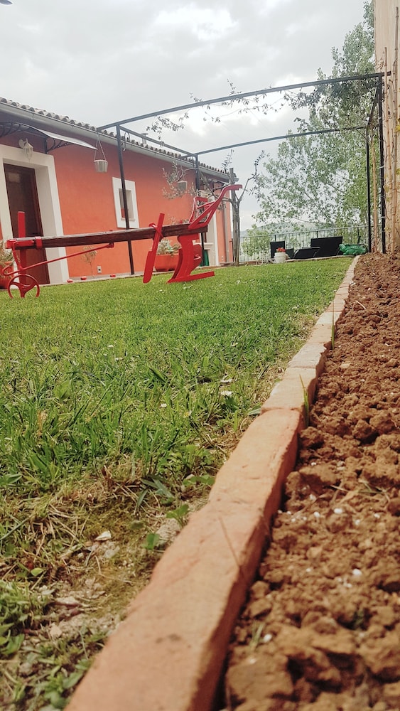 Photo 51