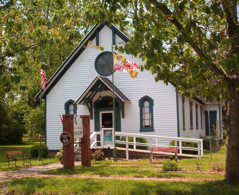 Photo 41