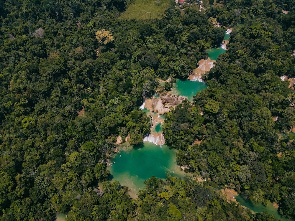 Palenque Vacations - Chan-Kah Resort Village - Property Image 11