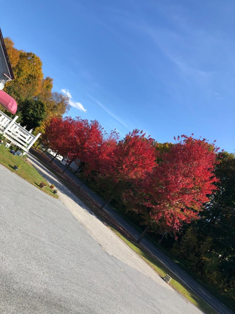 The Autumn Inn view 4