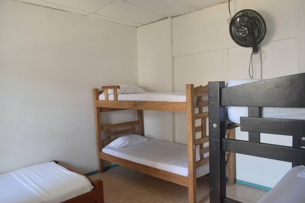 MANGO TREE HOSTEL 4 20