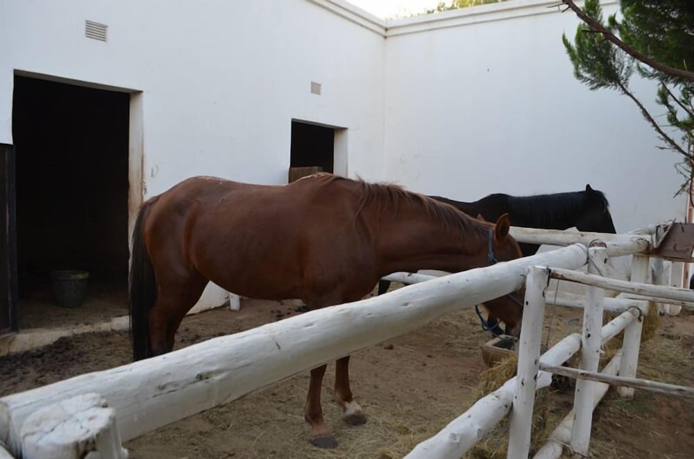 De Stallen Guesthouse