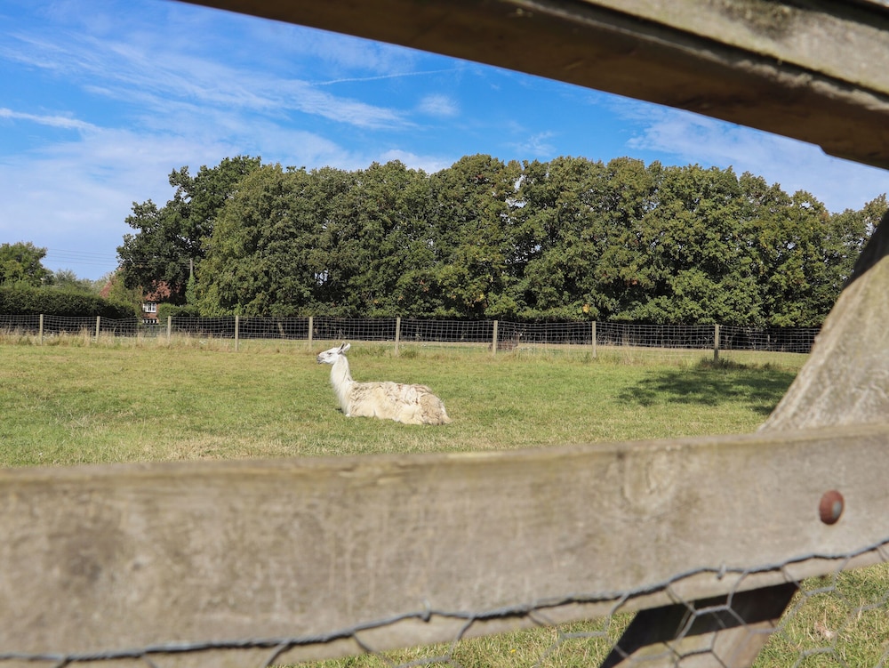 The Old Stables