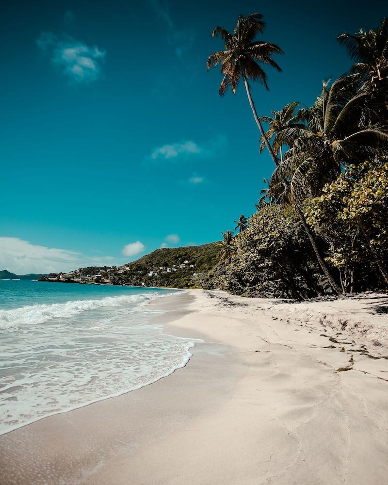 Bequia Beach Hotel Luxury Resort & Spa - Photo 124