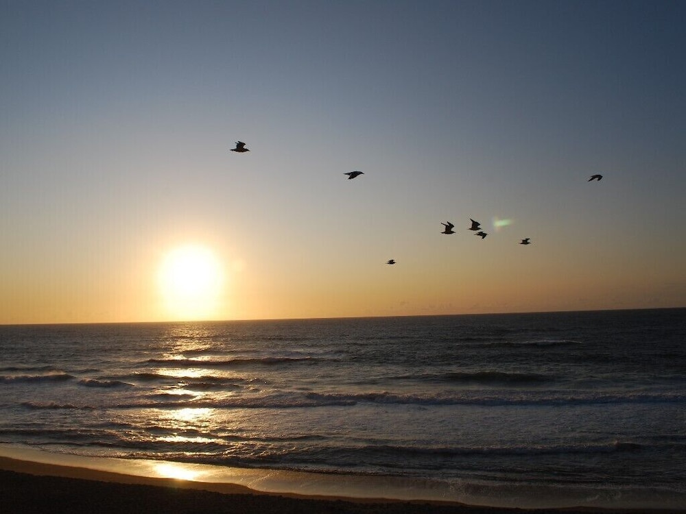 Photo 48