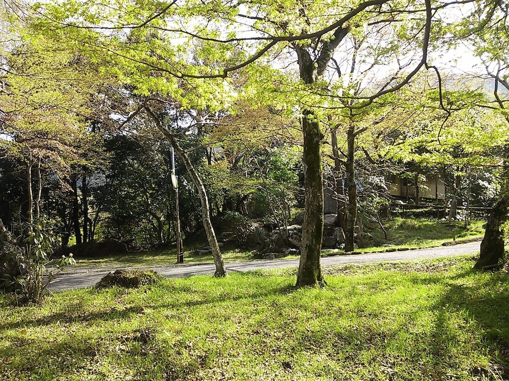 Cultural Property of Japan Senzairo